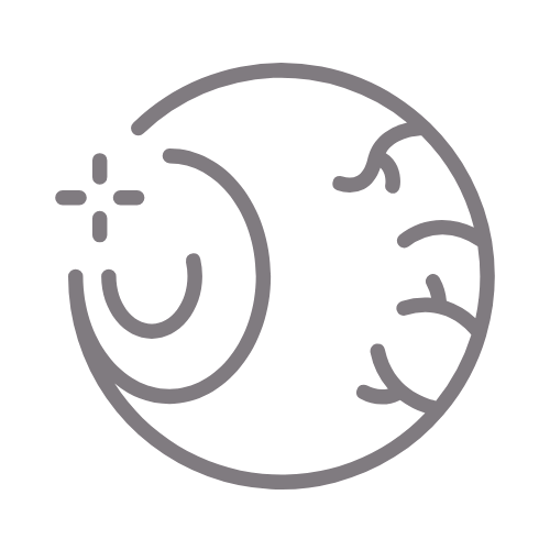 Feature Image